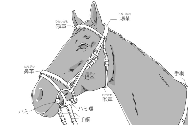 北海道にある「日本唯一の馬具メーカー」がすごい訳 | ファッションデザイナー北へ行く